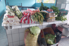 WhatsApp-Image-2026-01-21-at-17.18.51-3